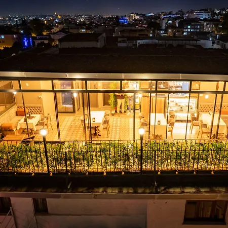 ホテル Palmera Old 3*