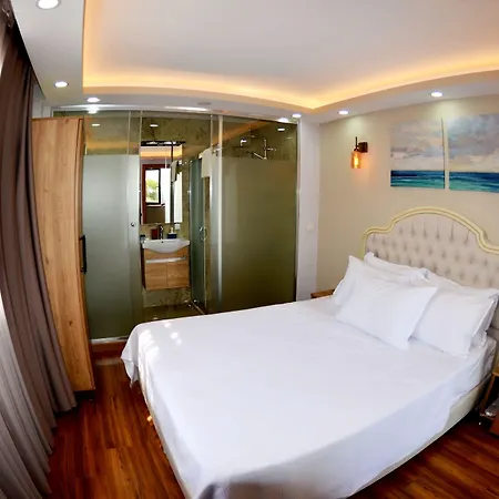 Hotel Palmera Old 3*