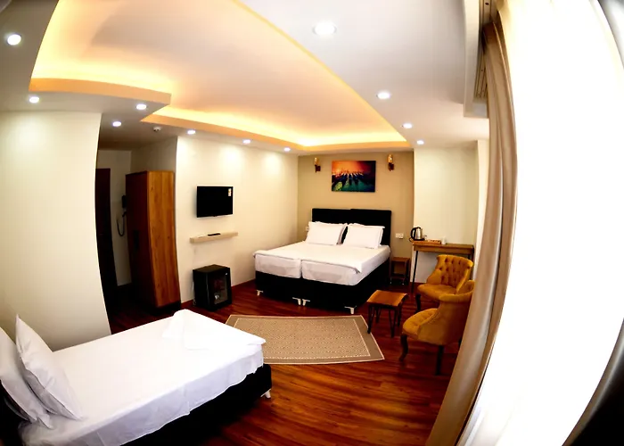 Hotel Palmera Old 3*