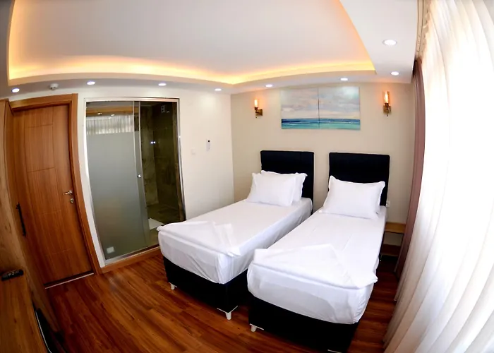 Hotel Palmera Old 3*